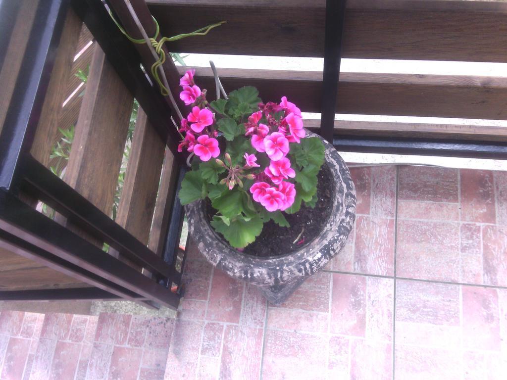 Apartment Ankica Seliste Dreznicko Cameră foto