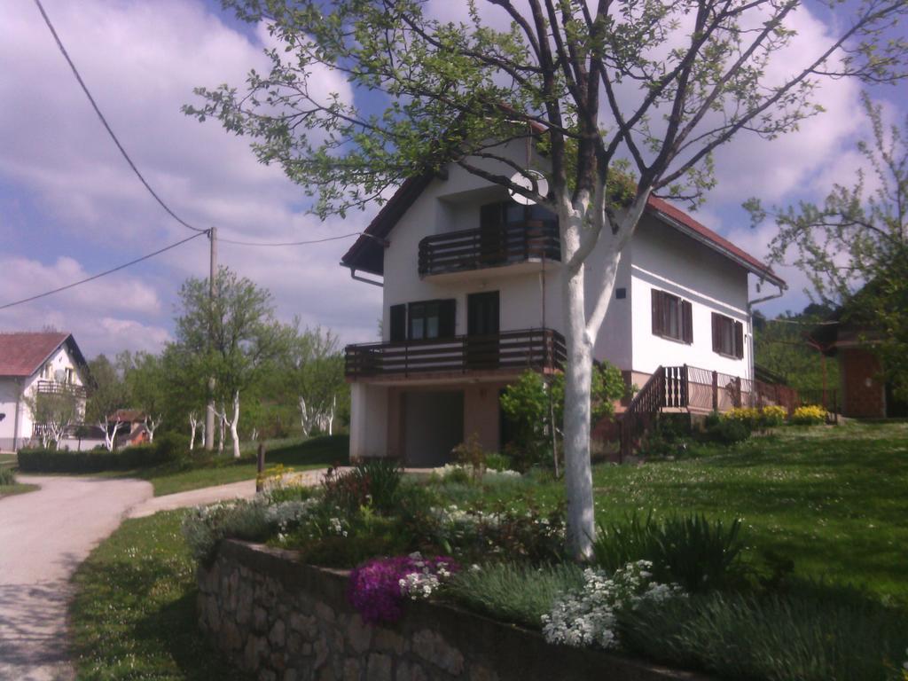 Apartment Ankica Seliste Dreznicko Cameră foto