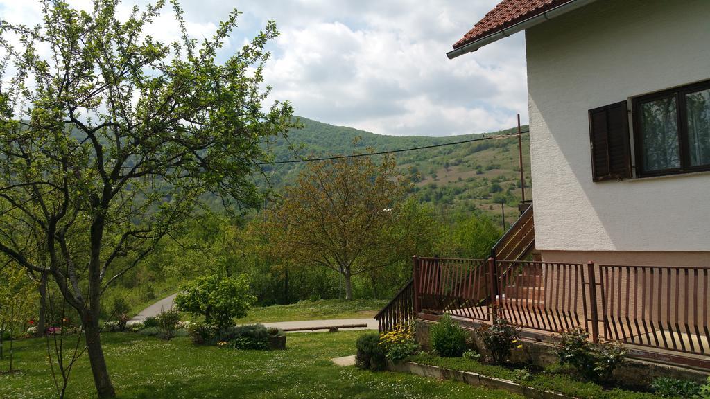 Apartment Ankica Seliste Dreznicko Exterior foto