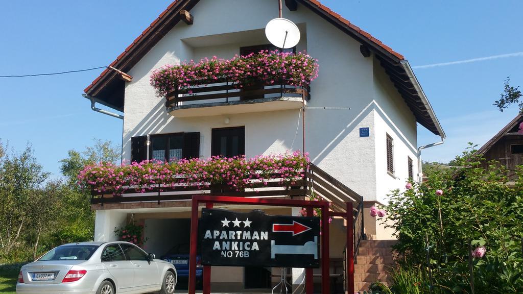 Apartment Ankica Seliste Dreznicko Exterior foto